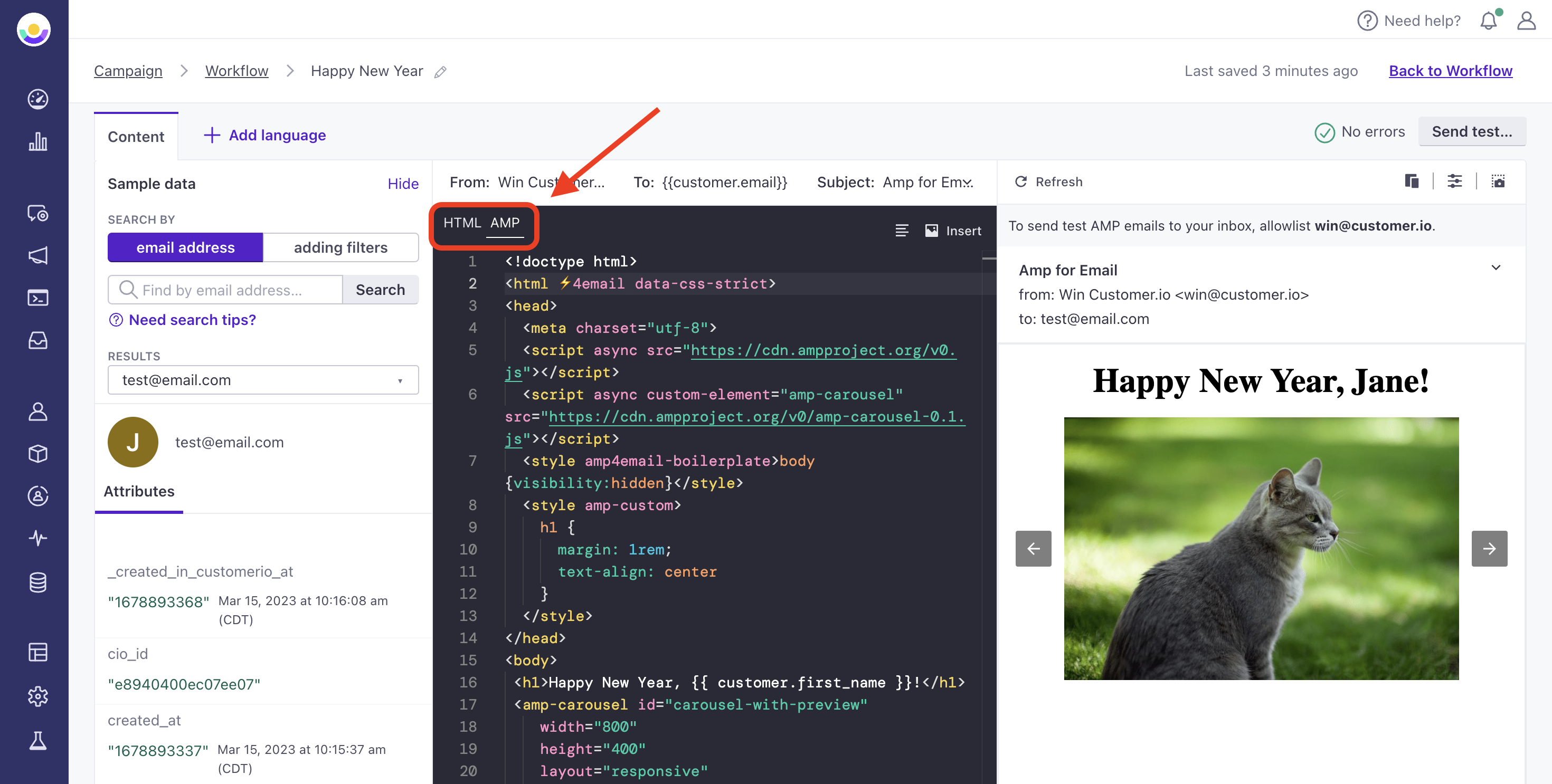 In the center of the page is the code editor for an email. There are two tabs at the top of the editor: HTML and AMP. AMP is selected and the editor shows an AMP template with the preview displaying on the right hand panel.