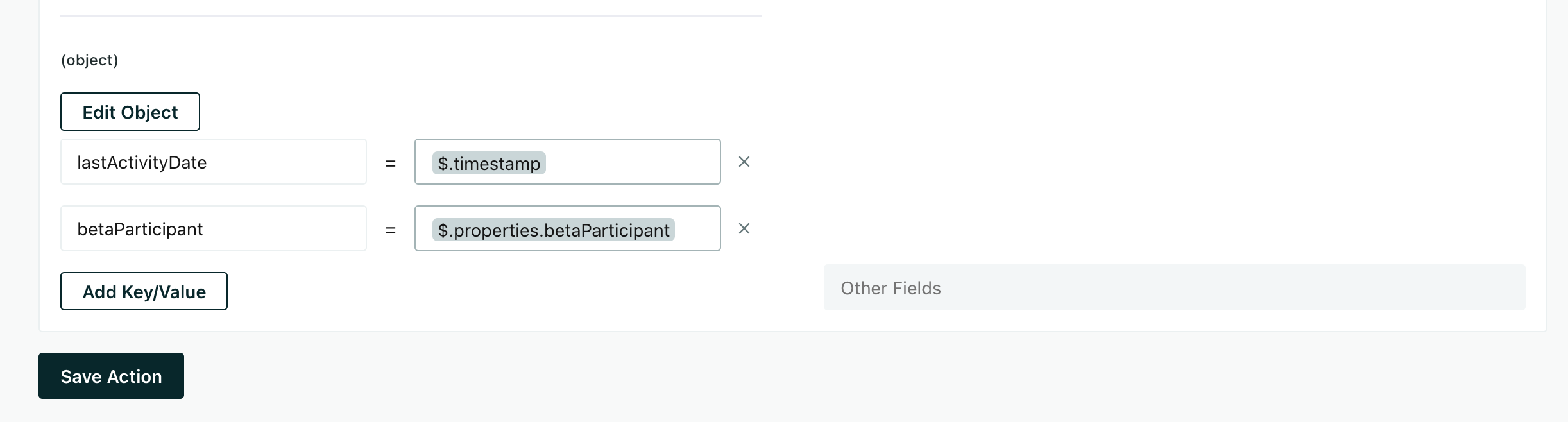 An action showing the timestamp and beta participant fields that Customer.io will send to Salesforce.
