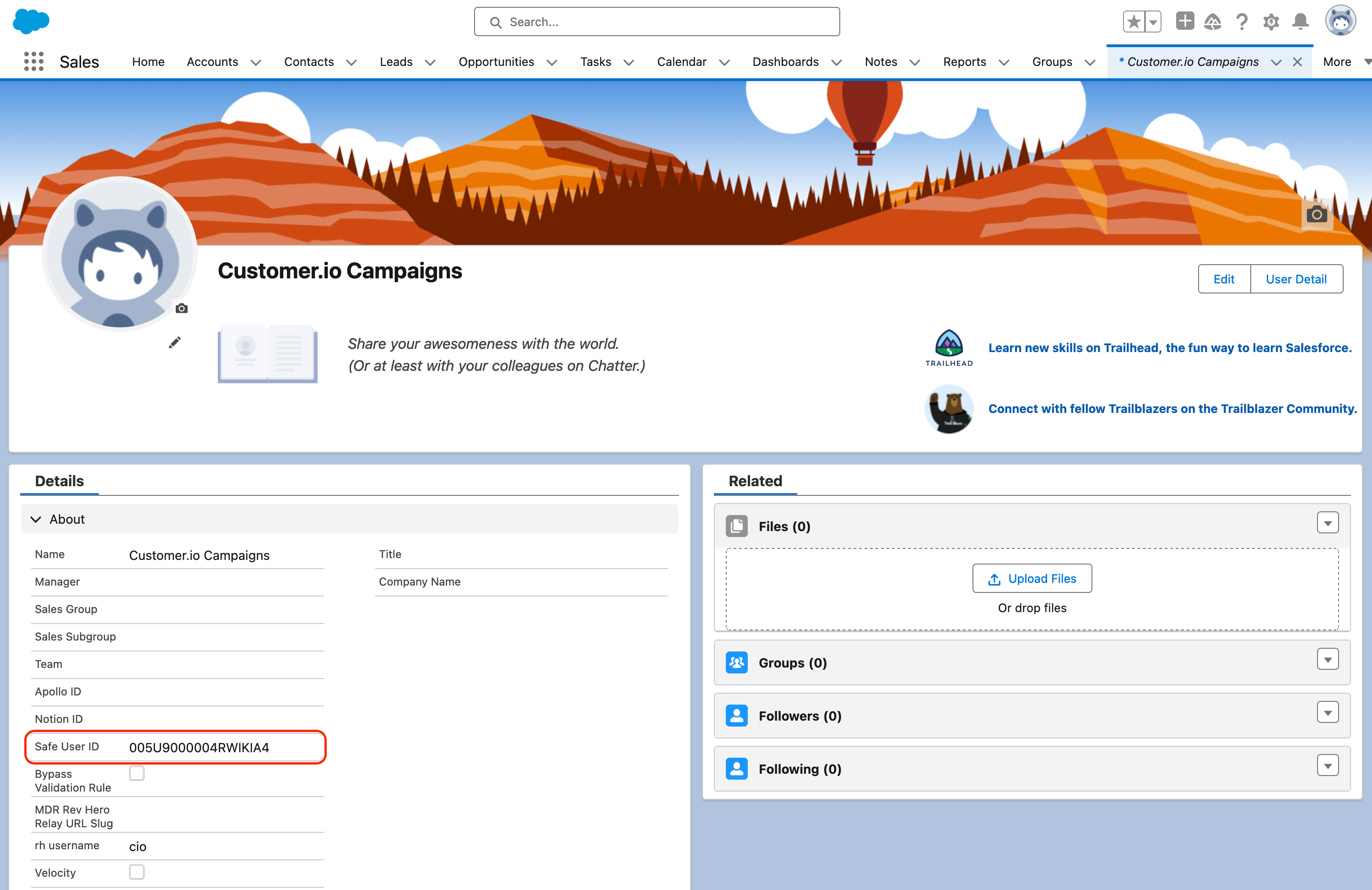 A Salesforce user named customer.io campaigns with their safe user ID circled
