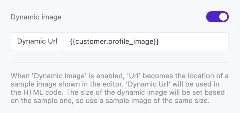 In the dynamic URL field is the liquid {{customer.profile_image}}
