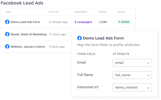 Facebook Lead Ad demo form