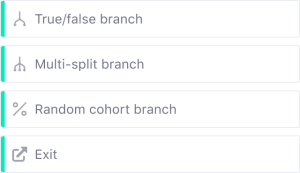 True/false branch, Multi-split branch, Random cohort branch, Exit