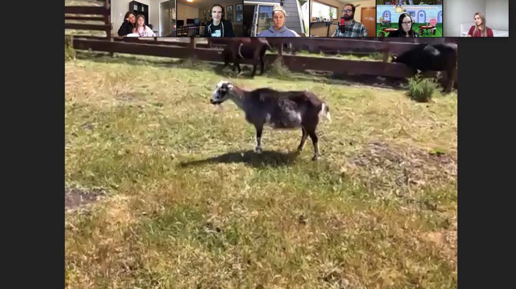 Sweet Farm's Goat-2-Meeting